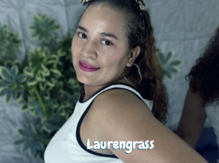 Laurengrass