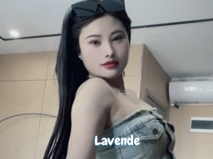 Lavende