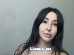 Leiaorgana