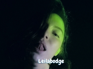 Leilabodge