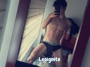 Leoignite