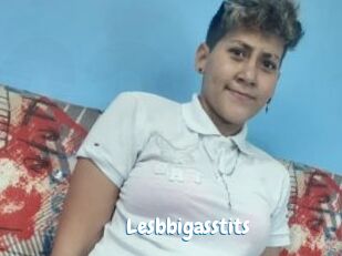 Lesbbigasstits