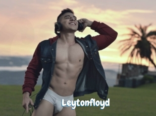 leytonfloyd Coquine Avenue