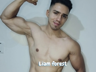 Liam_forest