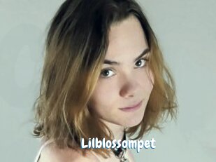 Lilblossompet