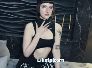 Liliatalcorn