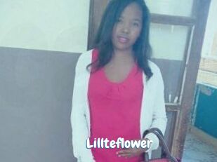 Lillteflower