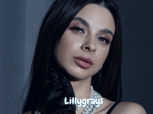 Lillygrays