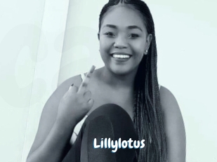 Lillylotus