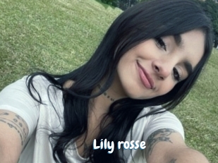 Lily_rosse