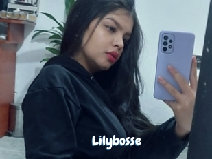 Lilybosse