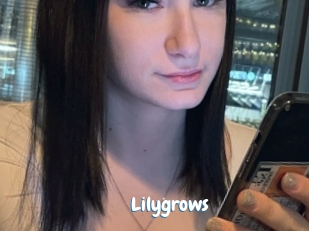 lilygrows Coquine Avenue