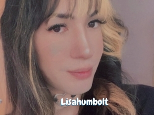 Lisahumbolt