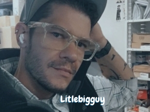 Litlebigguy