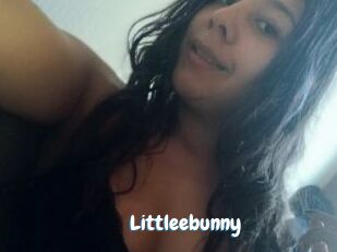 Littleebunny