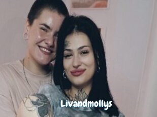 Livandmollys