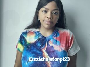 Lizziehamtonp123