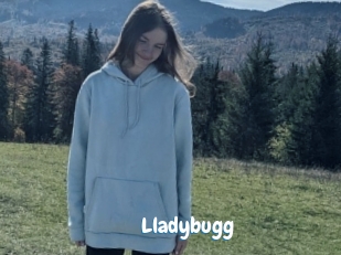 Lladybugg