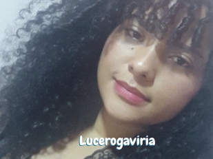 Lucerogaviria