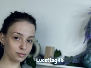 Lucettagills