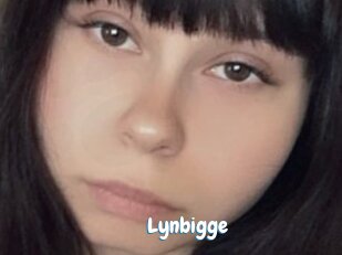 Lynbigge
