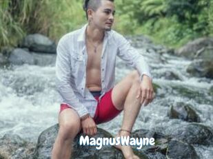 MagnusWayne