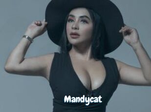 Mandycat
