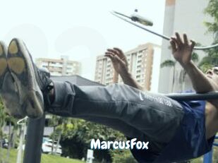MarcusFox Coquine Avenue