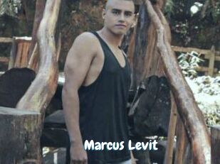 Marcus_Levit