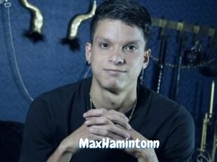 MaxHamintonn