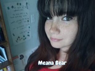 Meana_Bear