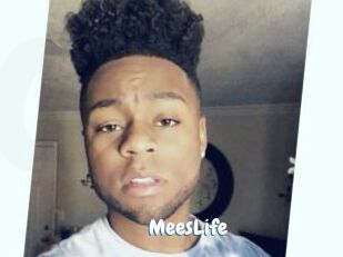 MeesLife