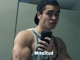 MikeStud