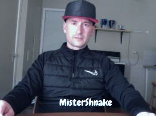 MisterShnake