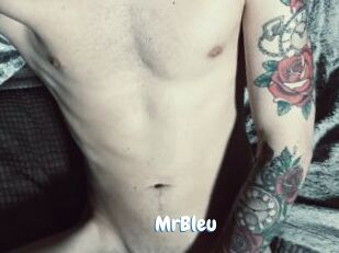 MrBleu