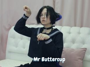 Mr_Buttercup