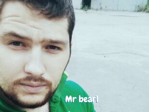 Mr_bear1