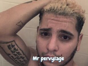 Mr_pervysage Coquine Avenue