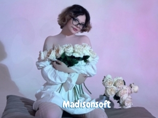 Madisonsoft