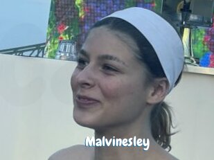 Malvinesley