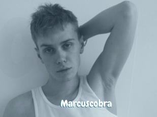 marcuscobra Coquine Avenue