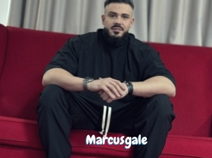 marcusgale Coquine Avenue