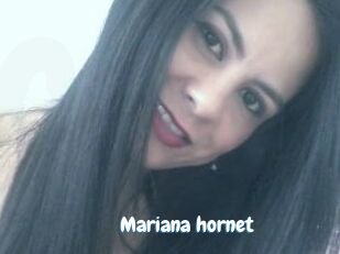 Mariana_hornet