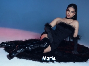marie Coquine Avenue