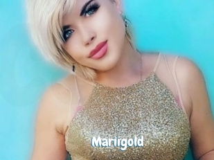 Mariigold