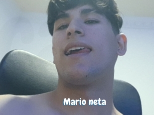 Mario_neta