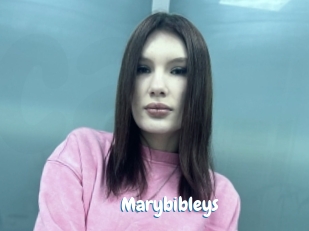 Marybibleys