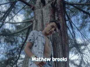 Mathew_brooks