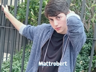 Mattrobert