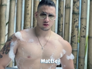 Mattseil